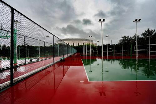 DSC06595g diaozhengdaxiao